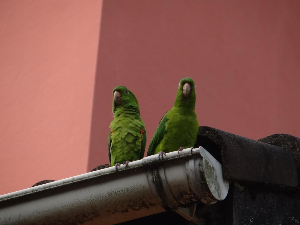 Pousada Da Mantiqueira Visconde De Maua Luaran gambar
